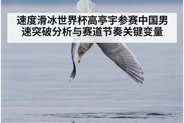 速度滑冰世界杯高亭宇参赛中国男速突破分析与赛道节奏关键变量